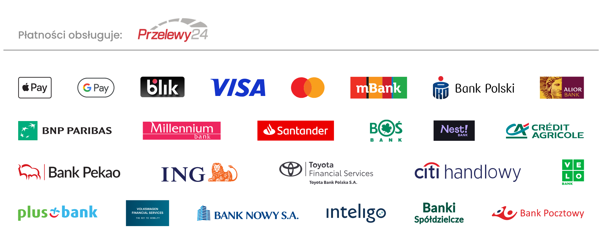 Przelewy24, Visa, Mastercard i dostępne metody płatności